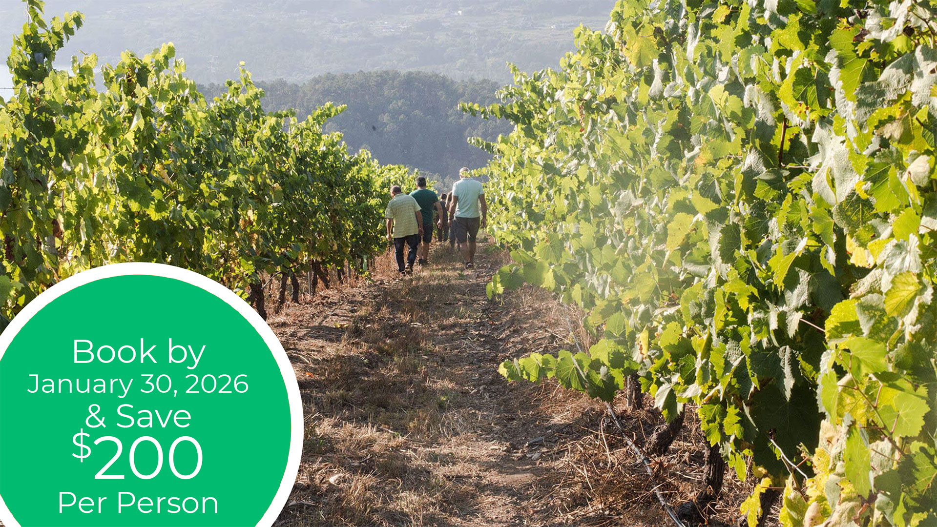 2026 Essential South America