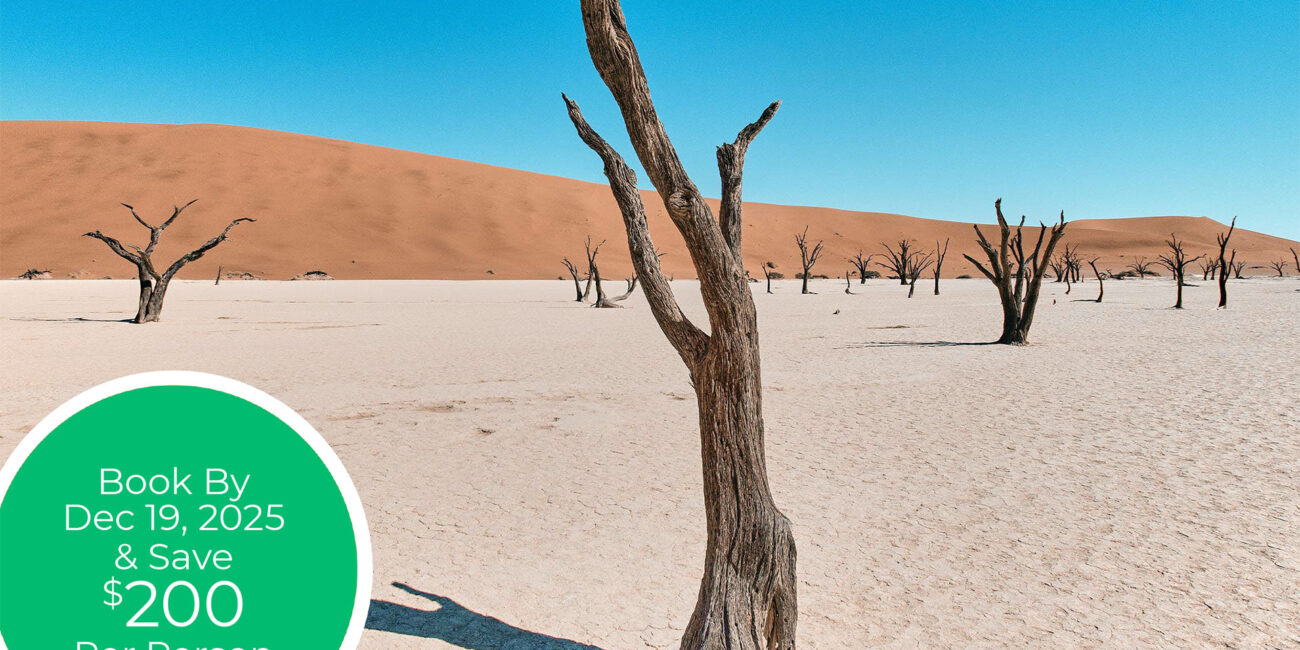 2026 Namibia & South Africa - Epic Landscapes & Wildlife