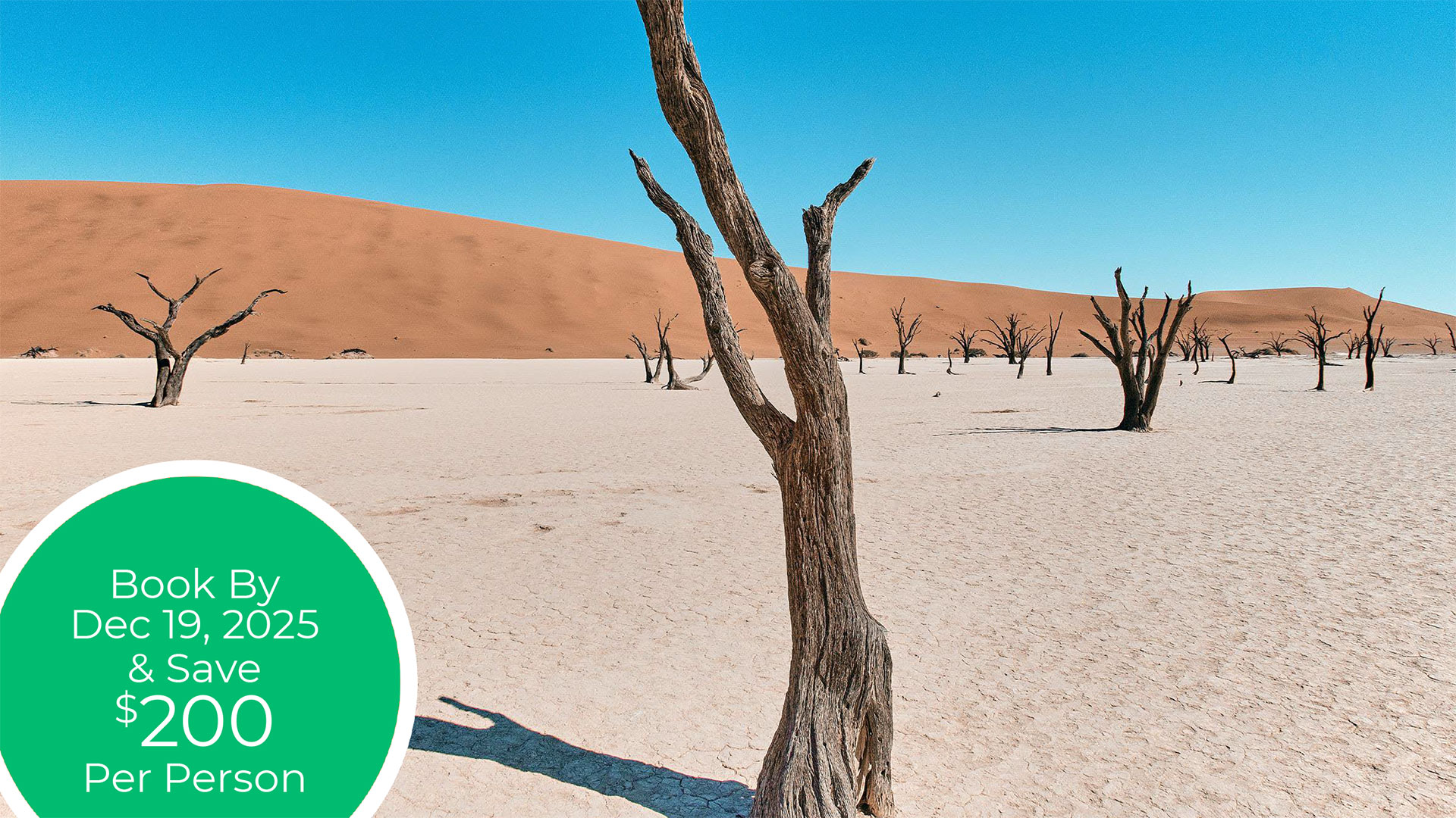 2026 Namibia & South Africa - Epic Landscapes & Wildlife