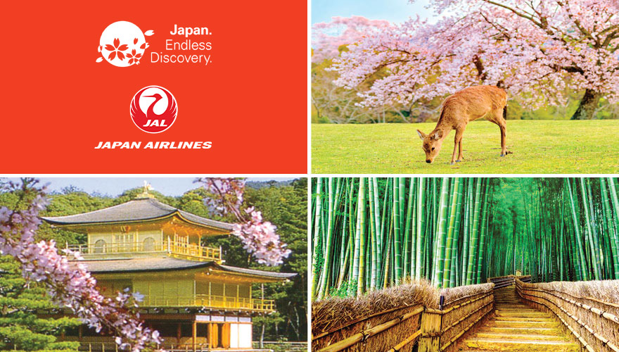 2026 Cherry Blossoms Best of Kyoto, Nara & Osaka Tours #1 & #2