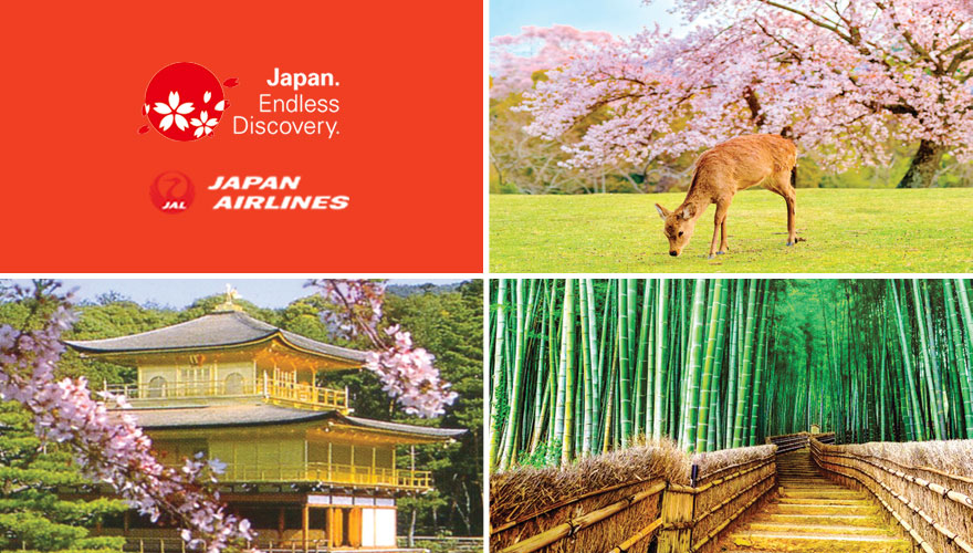 2026 Cherry Blossoms Best of Kyoto, Nara & Osaka Tour #1 & #2
