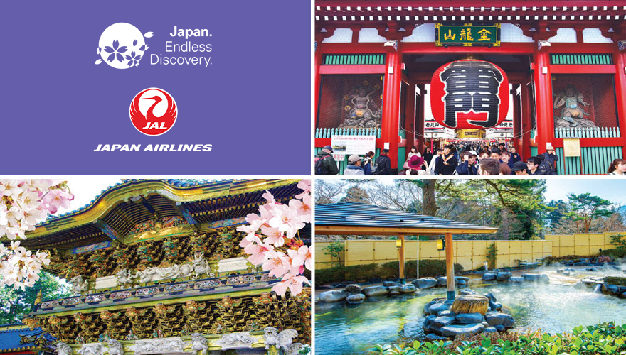 2026 Cherry Blossoms Best of Tokyo, Nikko, Kamakura & Hakone Tour #1