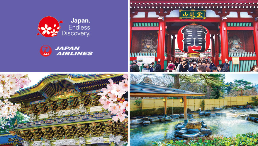 2026 Cherry Blossoms Best of Tokyo, Nikko, Kamakura & Hakone Tour #1