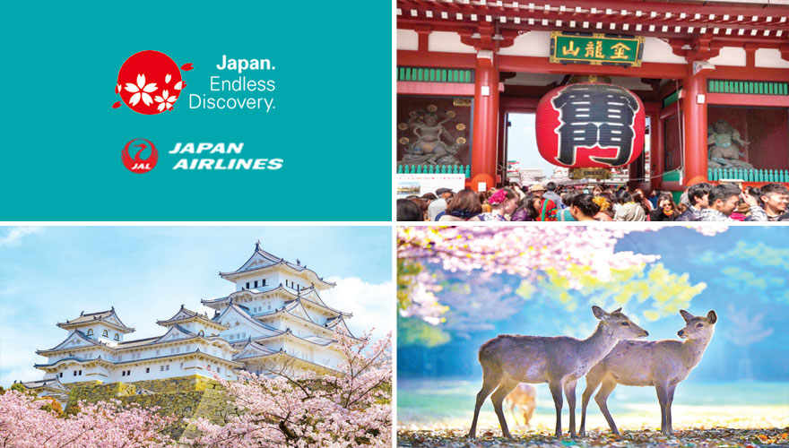 2026 Cherry Blossoms Ultimate Tokaido Toad with Miyajima & Hiroshima Tour #2
