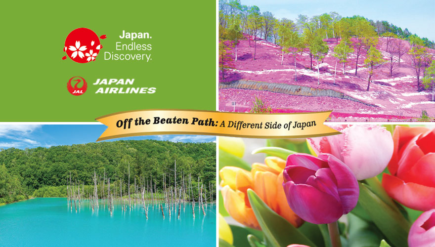 2026 Ultimate Hokkaido, Shiretoko Peninsula & Sapporo Spring Festival