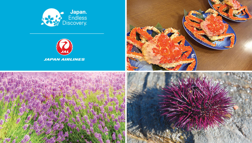 2026 Summer - Lavender Northern Hokkaido Tour Featuring Rishiri Island