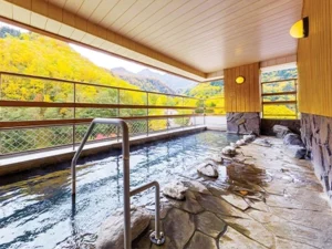 HOTEL-Hotel Taisetsu Onsen and Canyon Resort