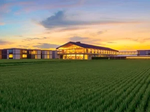 HOTEL-Suiden Terrasse 1