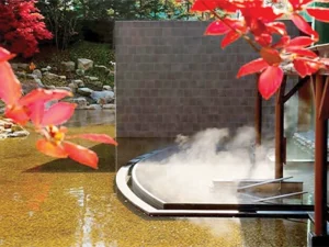 HOTEL-Tokachigawa Onsen Daiichi Hotel 2